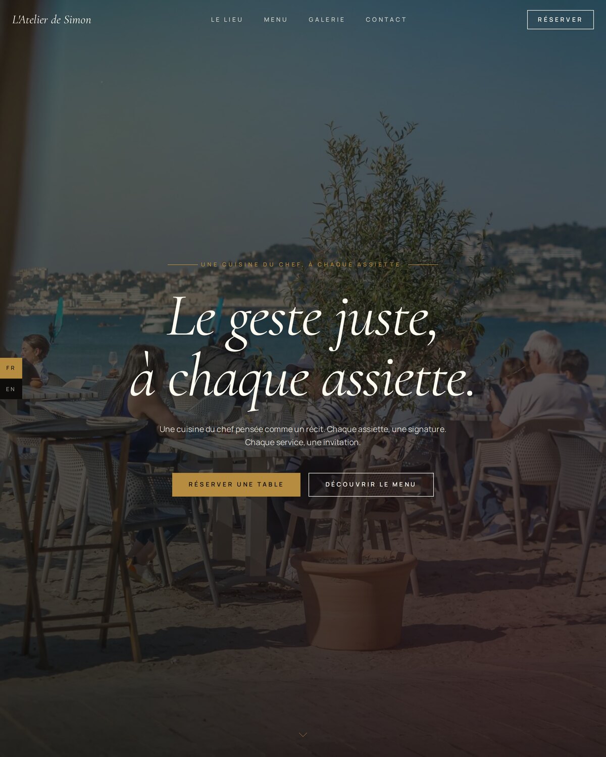 Aperçu du modèle Elegance